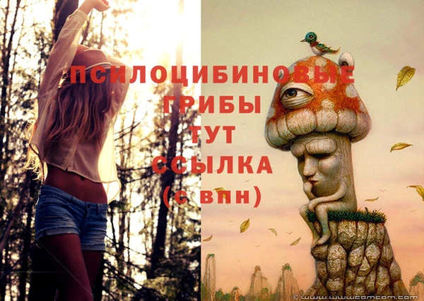 а пвп мука Балахна
