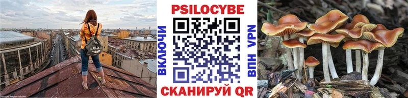 Галлюциногенные грибы Magic Shrooms Пролетарск