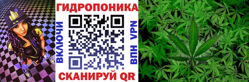 где купить наркоту  Пролетарск  ОМГ ОМГ   Конопля марихуана 